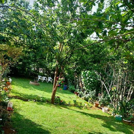Pear Tree Inn Villa Котагири Экстерьер фото