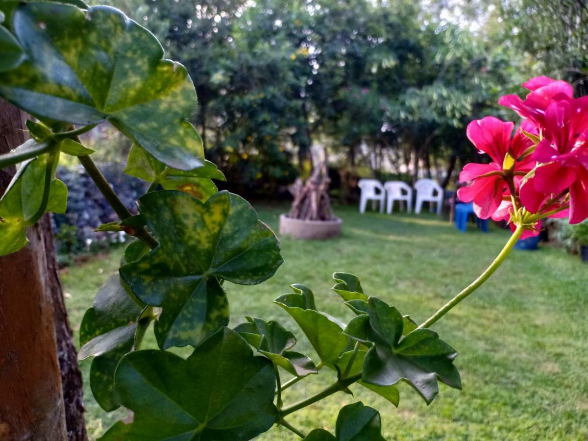 Pear Tree Inn Villa Котагири Экстерьер фото
